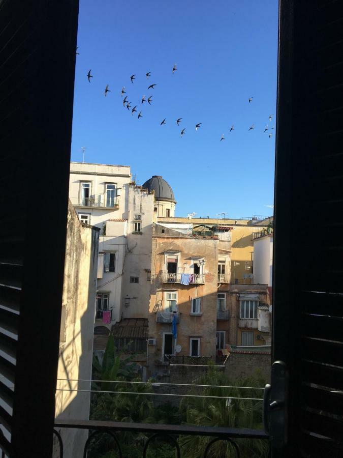 Le Rondini Della Pietrasanta Lejlighed Napoli Eksteriør billede